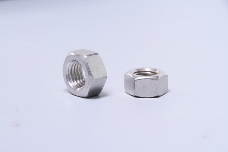 Two metallic hex nuts