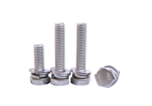 SS 304 bolts