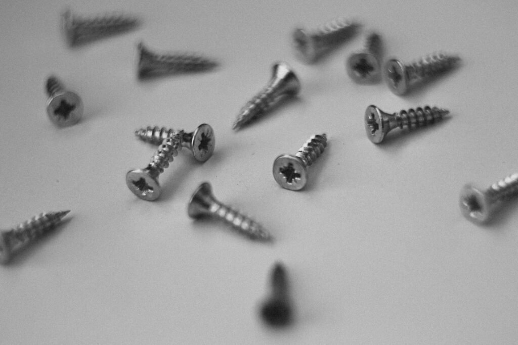 Stainless Steel screws