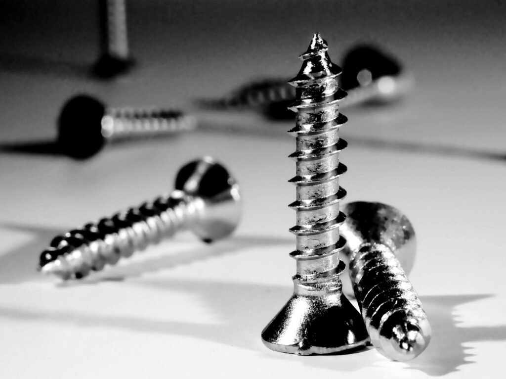 Stainless Steel Screws